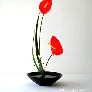 Elegant Floral Arrangement with Red Anthuriums